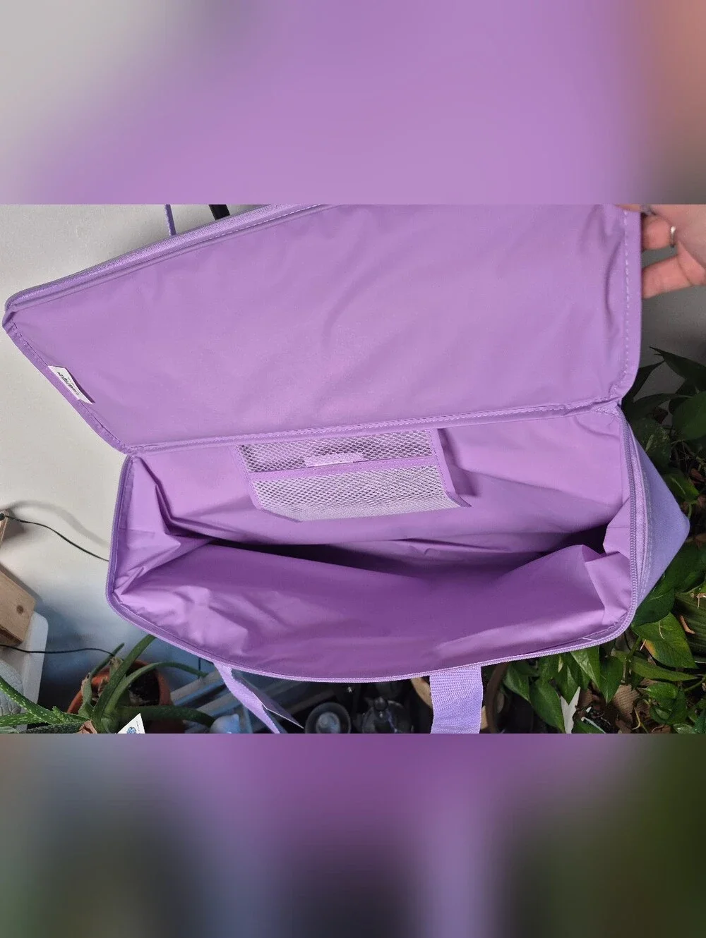 Trader Joe's LARGE Lavender Purple Cooler Bag